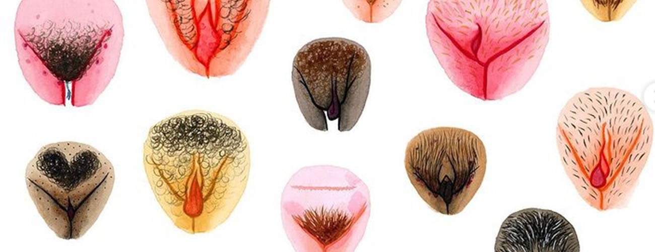 the vulva gallery